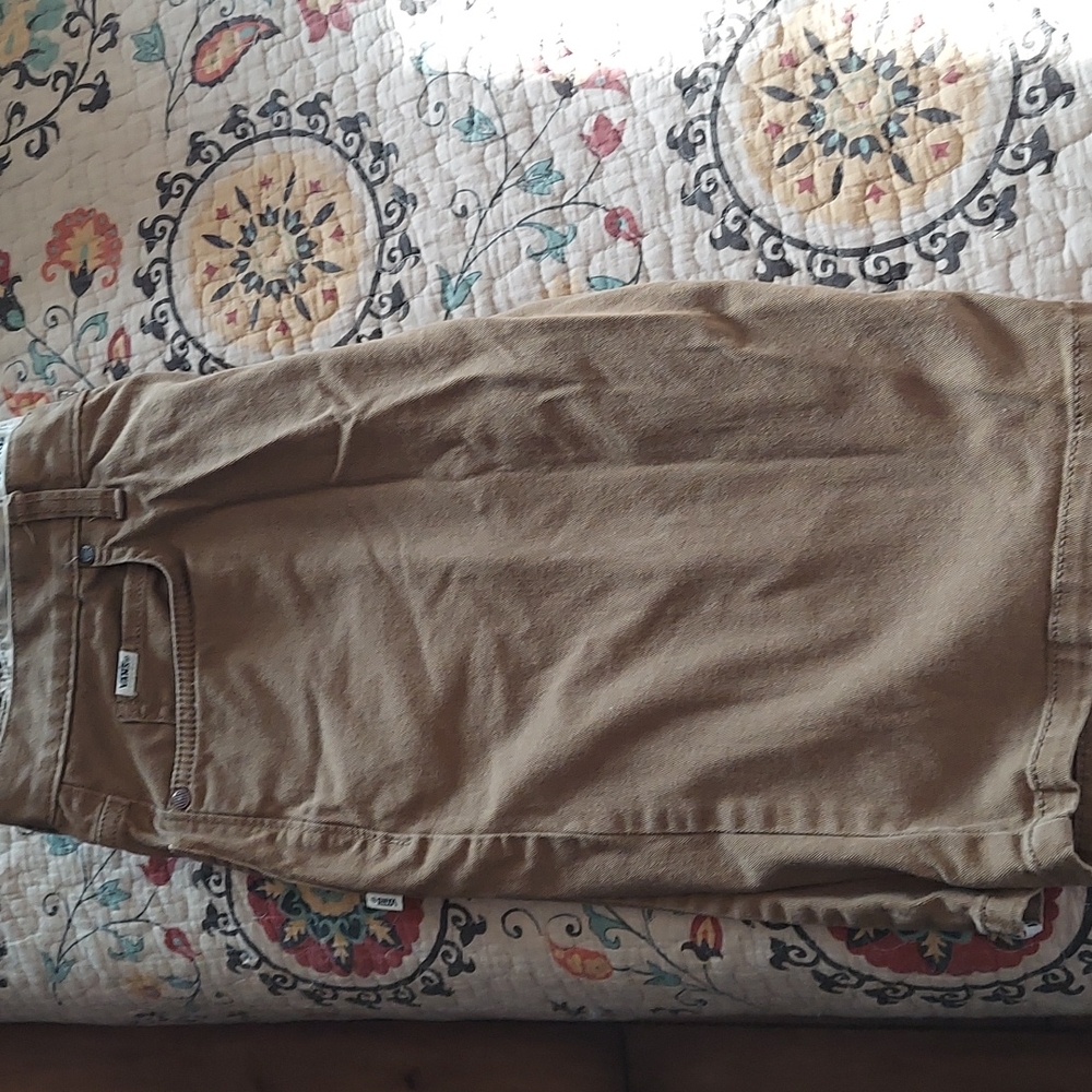 Vans, camel colored, size 28 men's skater shorts.